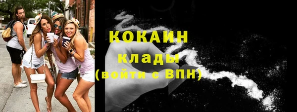 сатива Магадан