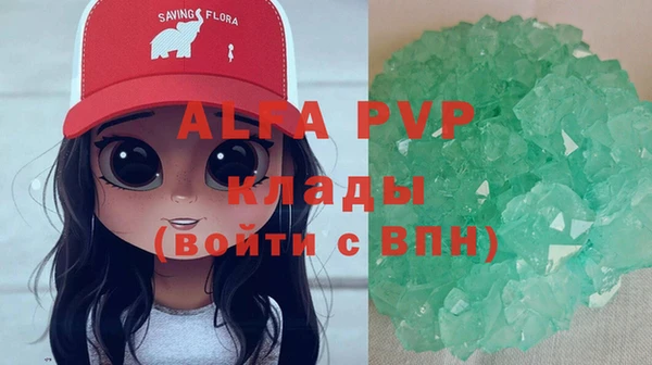 сатива Магадан