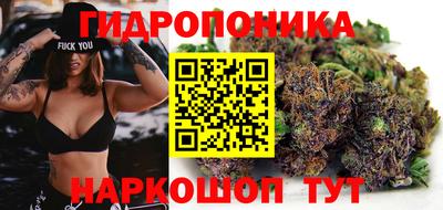 амф Краснознаменск