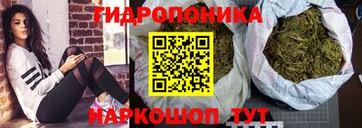 амф Краснознаменск