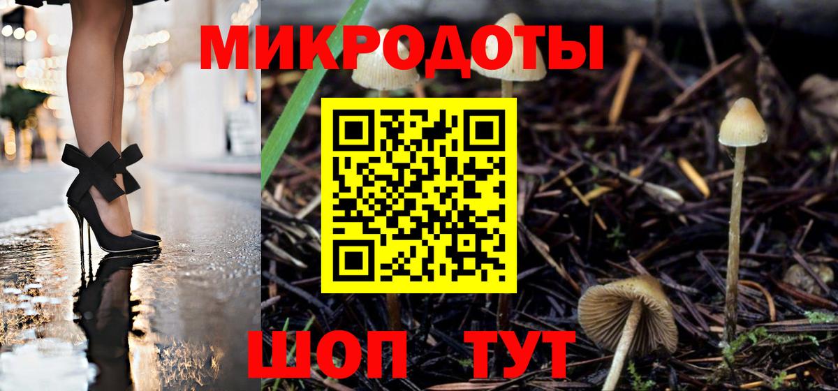 Шарыпово  Псилоцибиновые грибы Psilocybine cubensis  Вход с VPN  Галлюциногенные грибы Psilocybe 