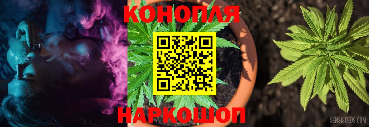 Конопля White Widow  Каннабис семена  Каннабис семена  Вход с VPN  Шарыпово 